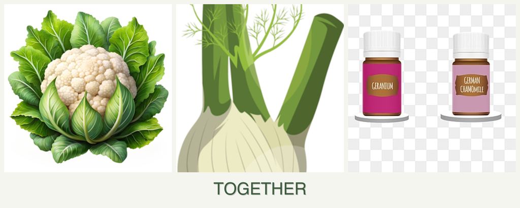 Can you plant cauliflower, fennel and geraniums together?