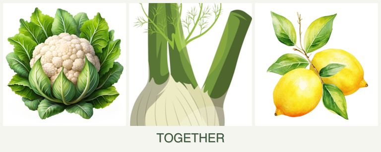 Can you plant cauliflower, fennel and lemons together?