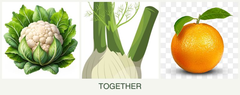 Can you plant cauliflower, fennel and oranges together?