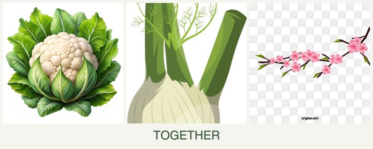 Can you plant cauliflower, fennel and peaches together?