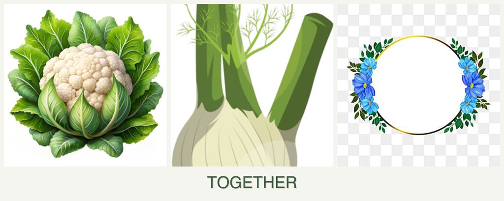 Can you plant cauliflower, fennel and zinnias together?