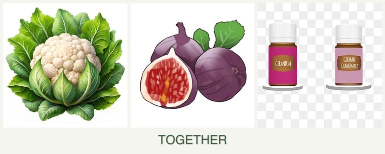 Can you plant cauliflower, figs and geraniums together?