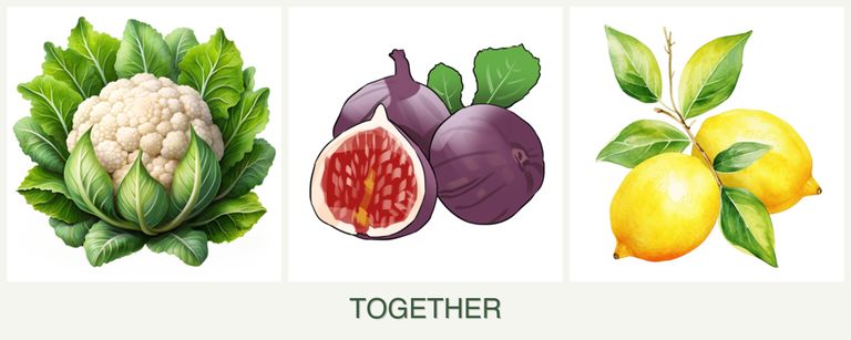 Can you plant cauliflower, figs and lemons together?