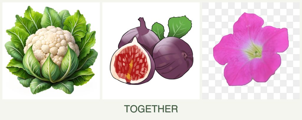 Can you plant cauliflower, figs and petunias together?