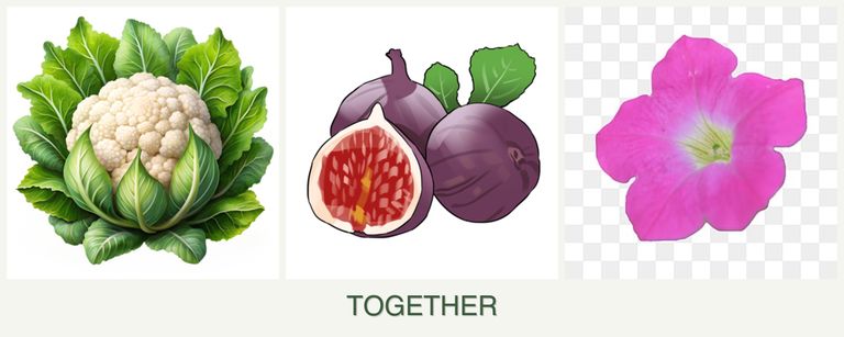 Can you plant cauliflower, figs and petunias together?