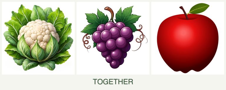 Can you plant cauliflower, grapes and apples together?