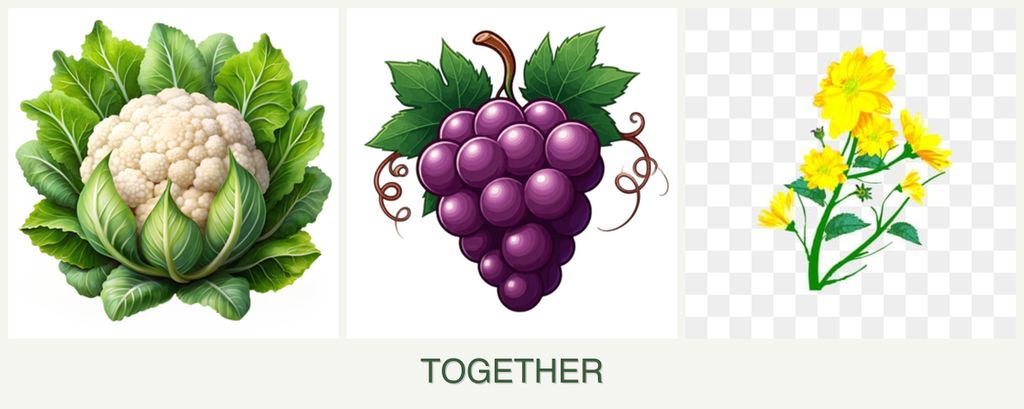 Can you plant cauliflower, grapes and calendula together?