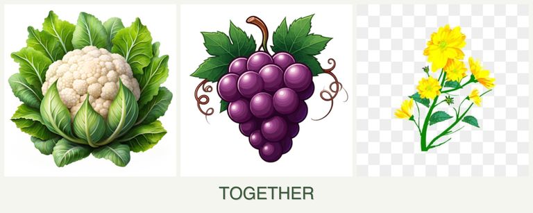 Can you plant cauliflower, grapes and calendula together?