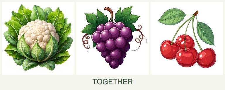 Can you plant cauliflower, grapes and cherries together?