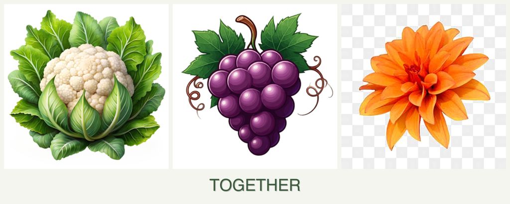 Can you plant cauliflower, grapes and dahlias together?