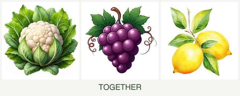 Can you plant cauliflower, grapes and lemons together?