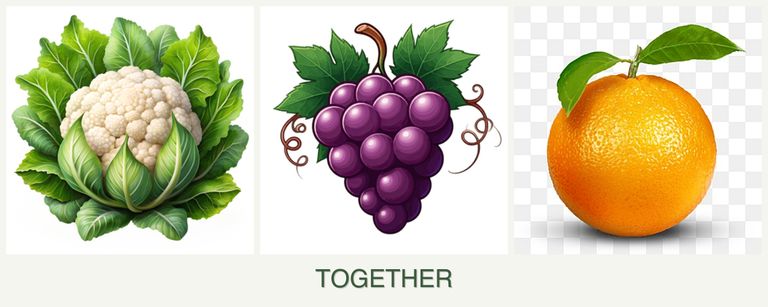Can you plant cauliflower, grapes and oranges together?
