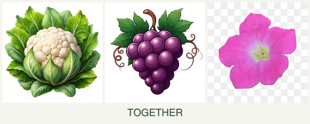 Can you plant cauliflower, grapes and petunias together?