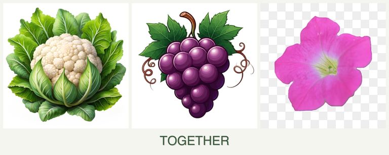 Can you plant cauliflower, grapes and petunias together?