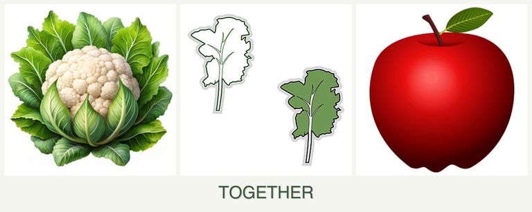 Can you plant cauliflower, kale and apples together?