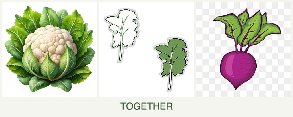 Can you plant cauliflower, kale and beets together?