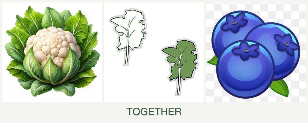 Can you plant cauliflower, kale and blueberries together?