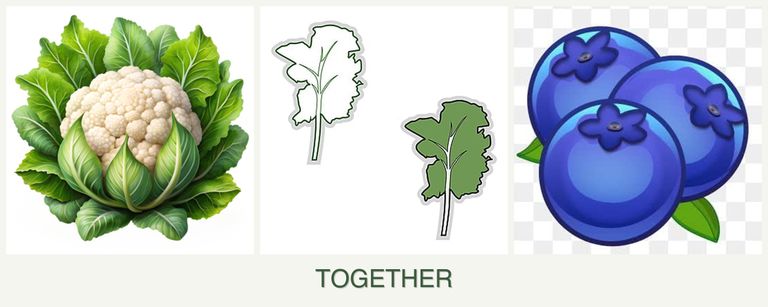 Can you plant cauliflower, kale and blueberries together?