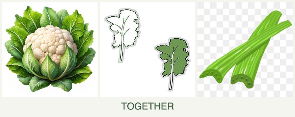 Can you plant cauliflower, kale and celery together?