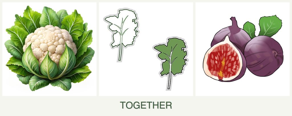 Can you plant cauliflower, kale and figs together?