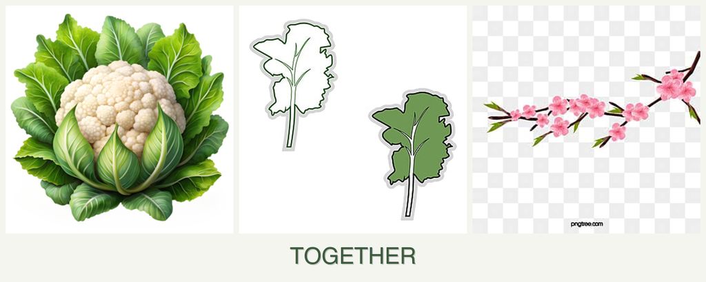 Can you plant cauliflower, kale and peaches together?