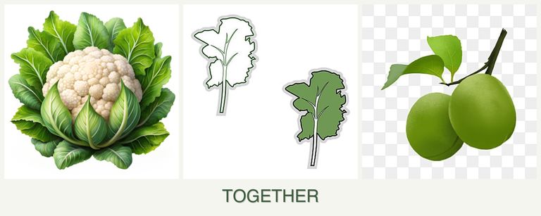 Can you plant cauliflower, kale and plums together?