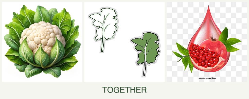 Can you plant cauliflower, kale and pomegranates together?