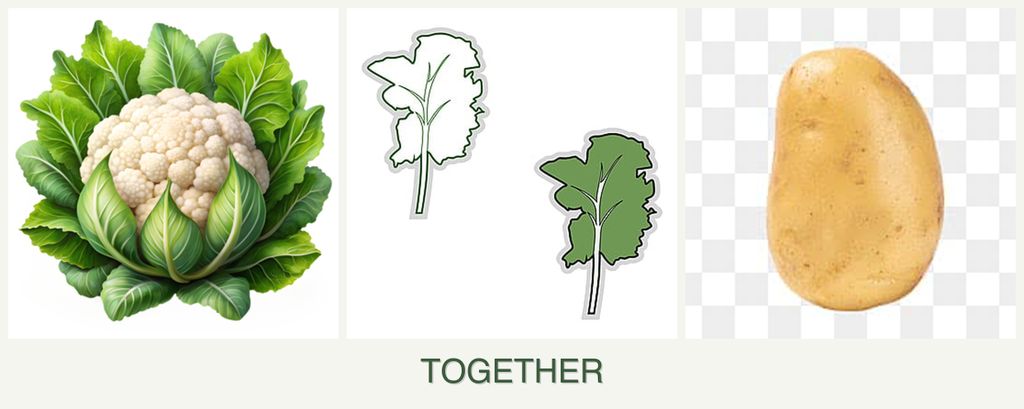Can you plant cauliflower, kale and potatoes together?