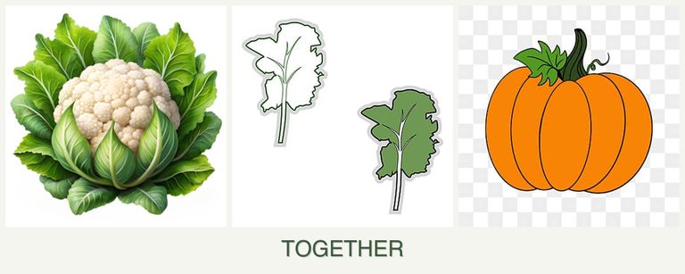 Can you plant cauliflower, kale and pumpkin together?