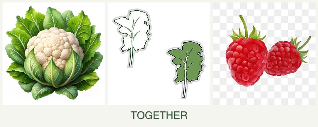Can you plant cauliflower, kale and raspberries together?
