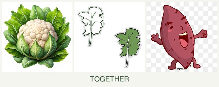 Can you plant cauliflower, kale and sweet potatoes together?