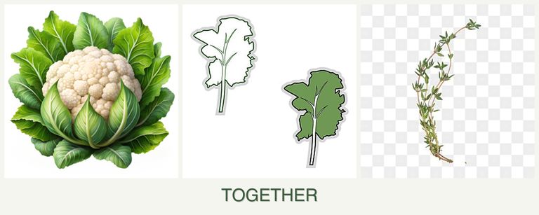 Can you plant cauliflower, kale and thyme together?