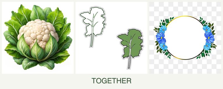 Can you plant cauliflower, kale and zinnias together?