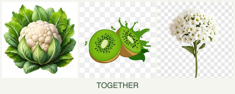 Can you plant cauliflower, kiwi and alyssum together?