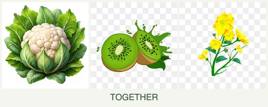 Can you plant cauliflower, kiwi and calendula together?
