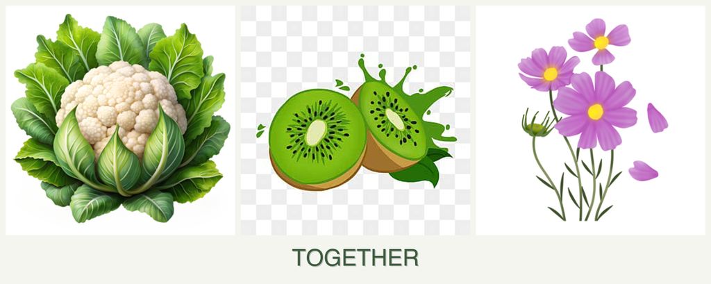 Can you plant cauliflower, kiwi and cosmos together?