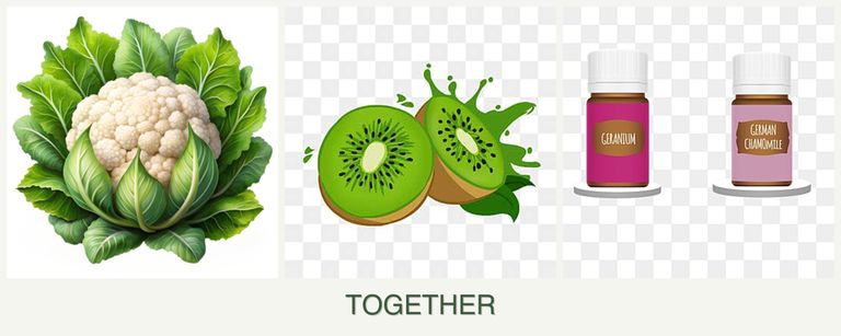 Can you plant cauliflower, kiwi and geraniums together?
