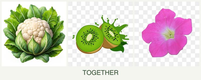Can you plant cauliflower, kiwi and petunias together?