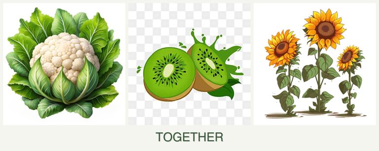 Can you plant cauliflower, kiwi and sunflowers together?