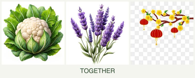 Can you plant cauliflower, lavender and apricots together?
