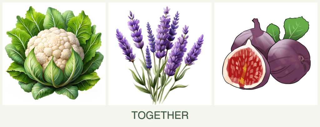 Can you plant cauliflower, lavender and figs together?