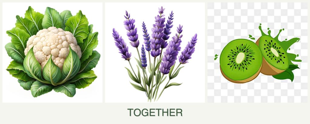 Can you plant cauliflower, lavender and kiwi together?