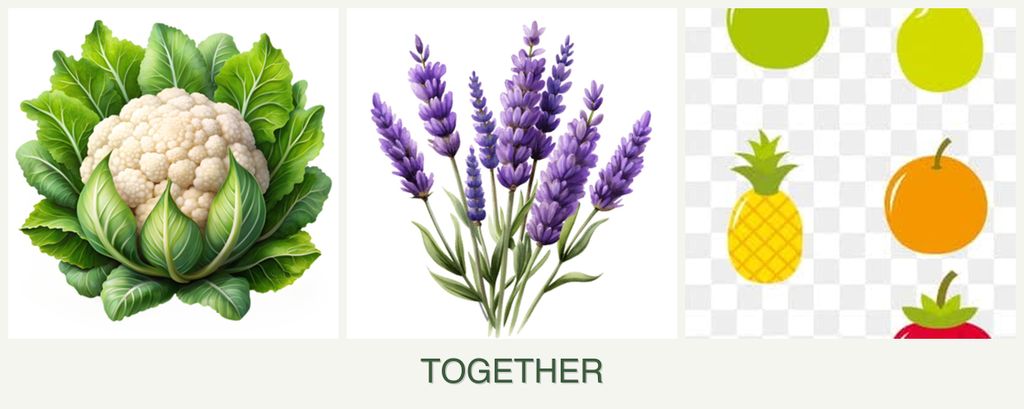 Can you plant cauliflower, lavender and pears together?