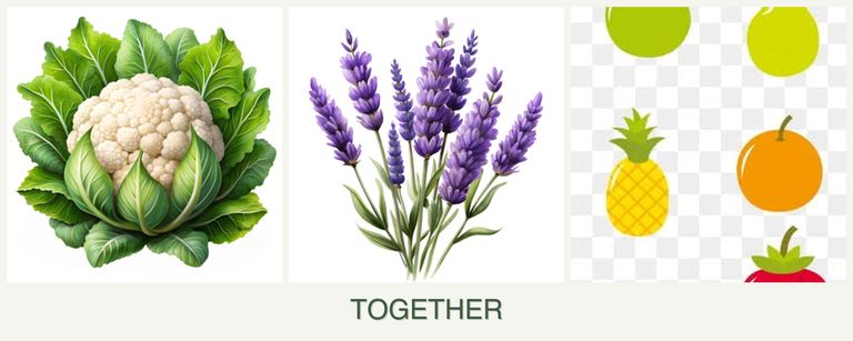 Can you plant cauliflower, lavender and pears together?