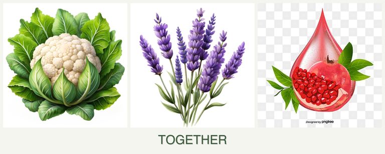 Can you plant cauliflower, lavender and pomegranates together?