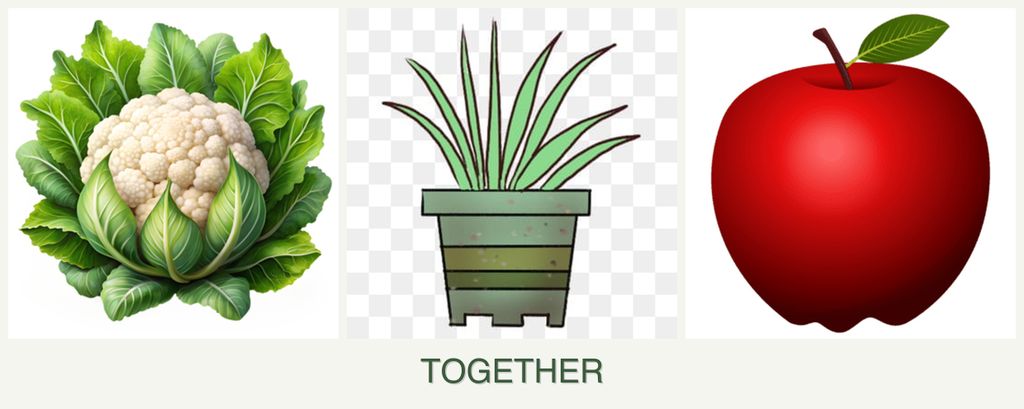 Can you plant cauliflower, lemongrass and apples together?