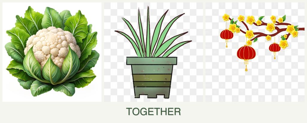 Can you plant cauliflower, lemongrass and apricots together?