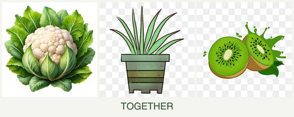 Can you plant cauliflower, lemongrass and kiwi together?