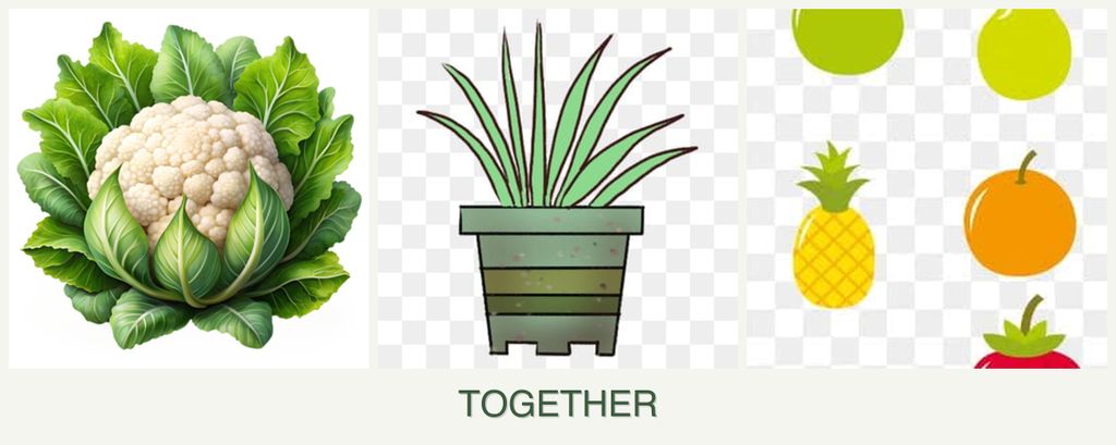 Can you plant cauliflower, lemongrass and pears together?