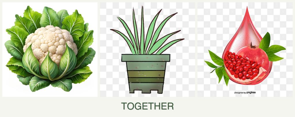 Can you plant cauliflower, lemongrass and pomegranates together?